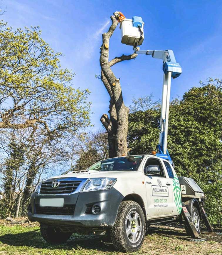 pickup cherry picker for cutting tree