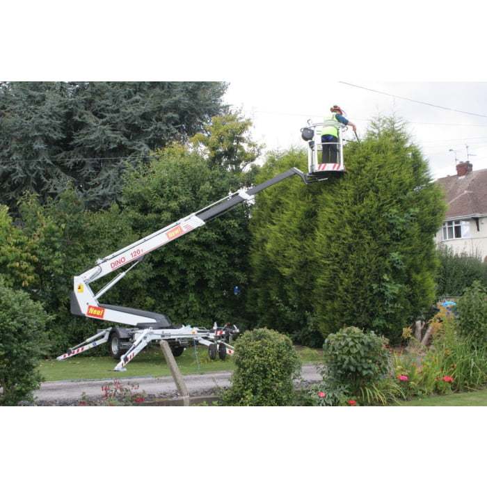 tree care landscaping