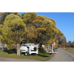 dino-280-rxt-boom-lift-for-arborist